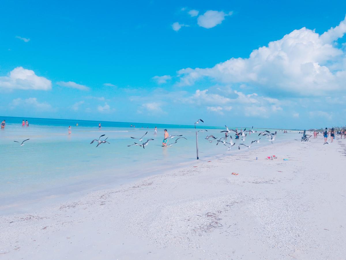 Hostel La Isla Holbox Dış mekan fotoğraf