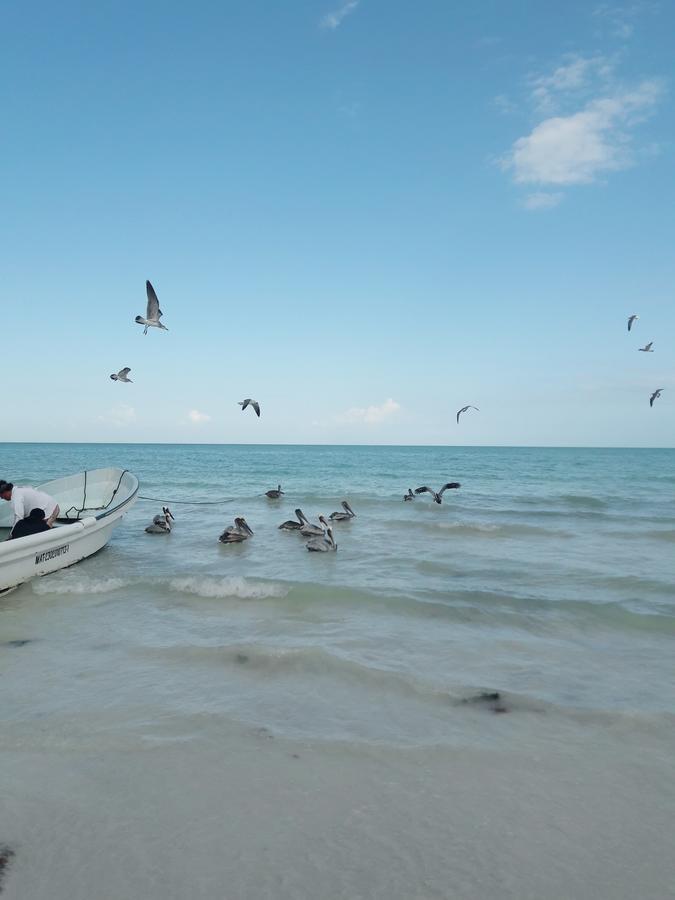 Hostel La Isla Holbox Dış mekan fotoğraf